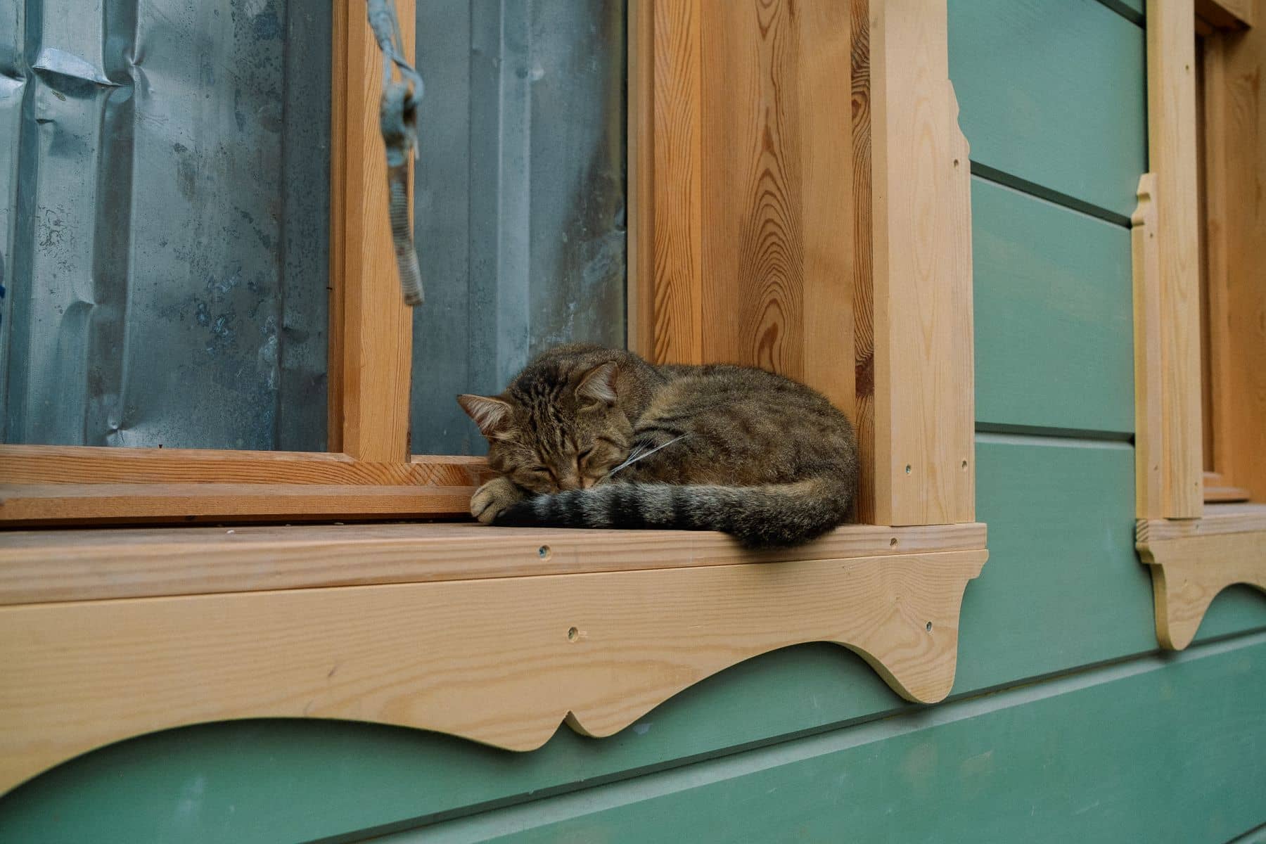 Getigerte Katze schläft auf der hölzernen Fensterbank eines alten Hauses